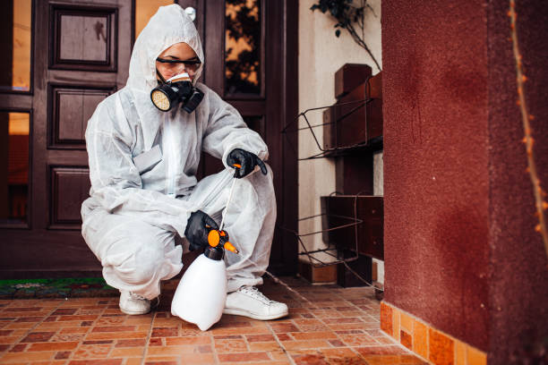 Attic and Crawl Space Rodent Treatment in Fort Sumner