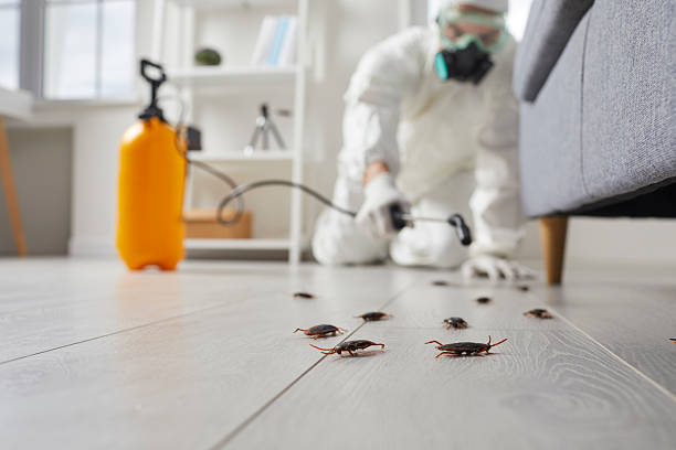 Commercial Rodent Management in Fort Sumner